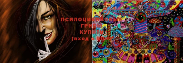 таблы Козловка