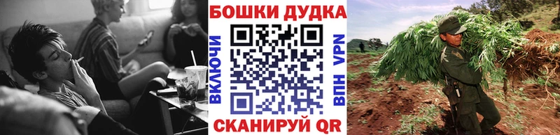 Канабис LSD WEED  Купить закладки  Бердск 